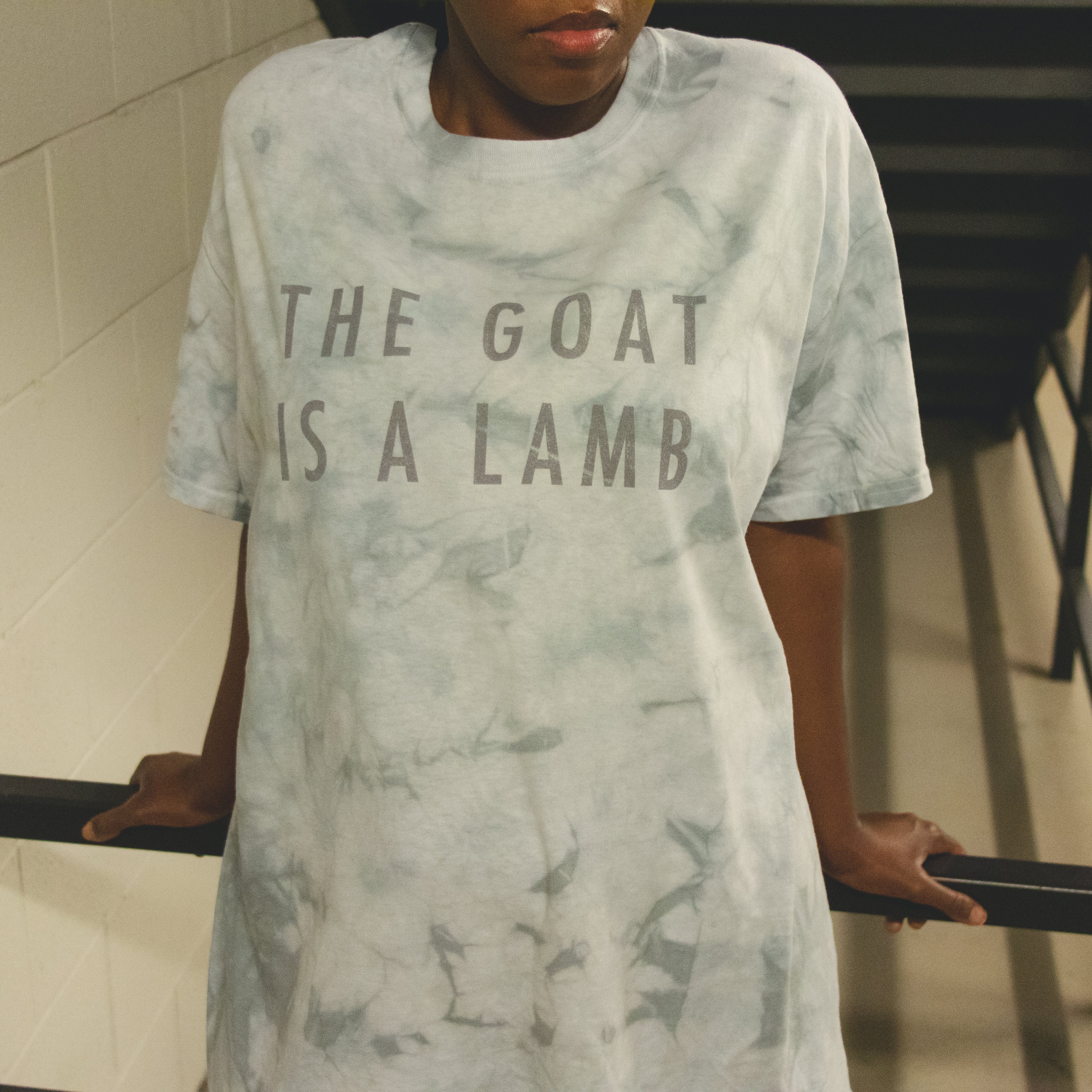 The Goat Is A Lamb - Grey Tie Dye T-Shirt