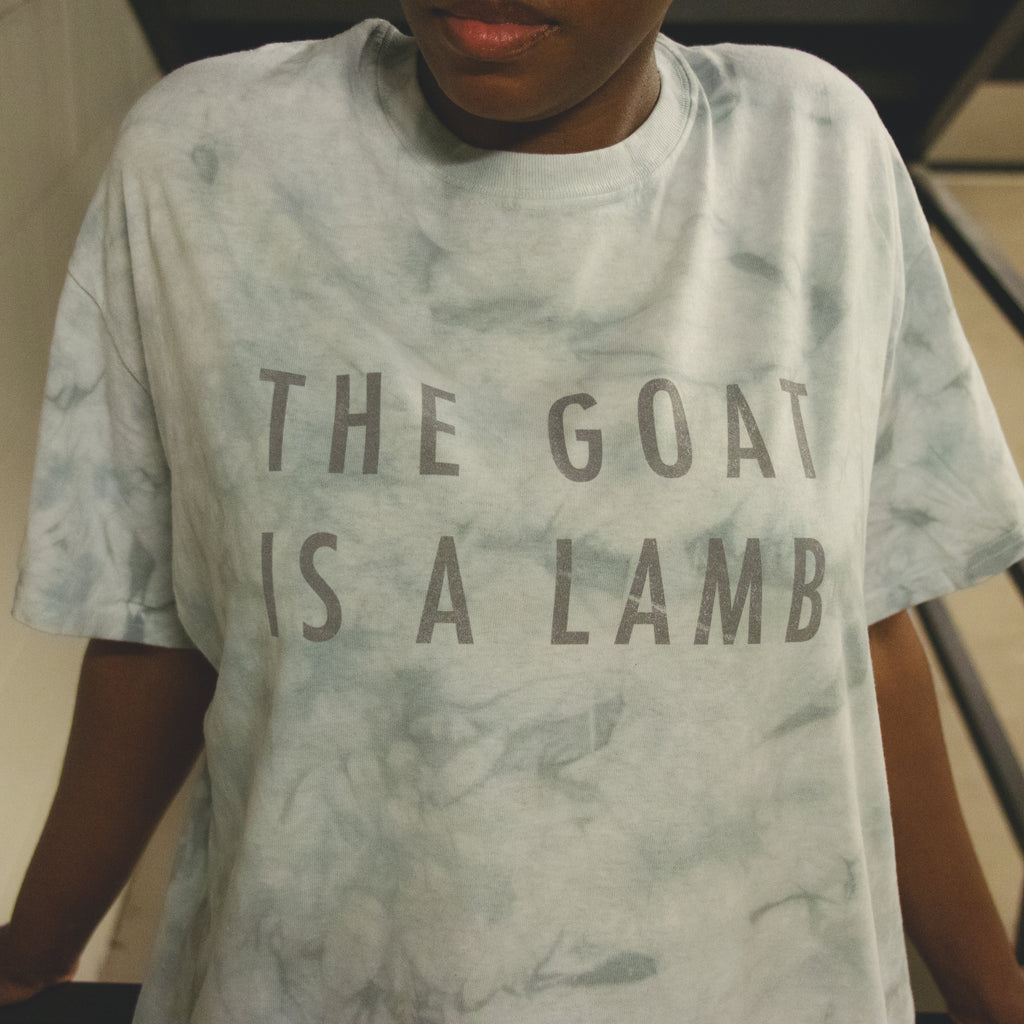 The Goat Is A Lamb - Grey Tie Dye T-Shirt