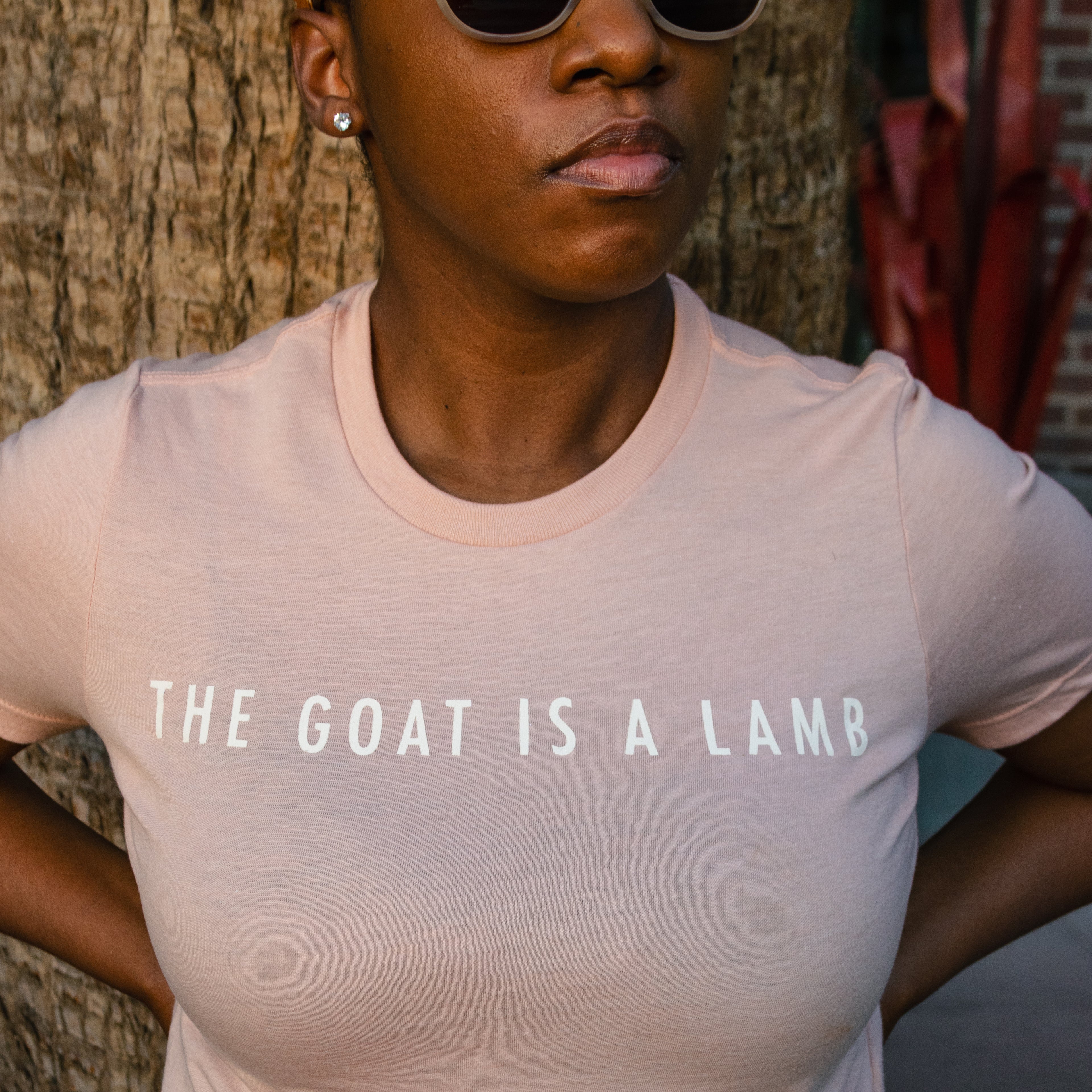 The Goat Is A Lamb - Women's T-Shirt